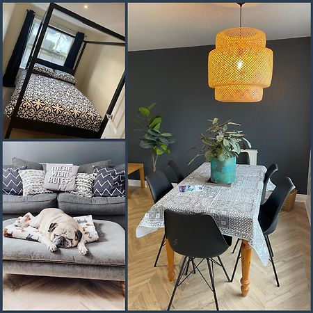 Sea-Haven On Sunrise Ground Floor Holiday Home The Bay 法利 外观 照片